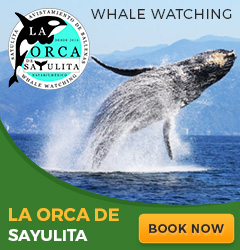La Orca de Sayulita Banner