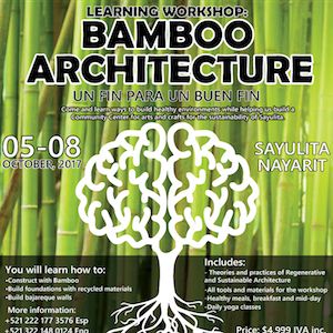 Help Build a New Sayulita Community Center by Supporting Bamboo Architecture 