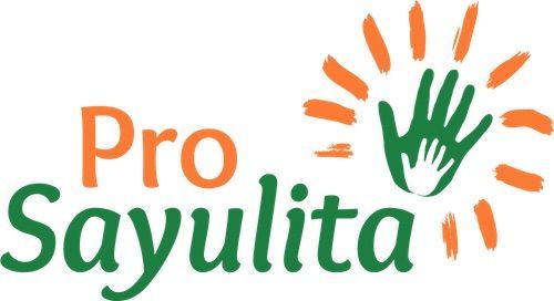 Pro Sayulita General Public Meeting Minutes: Nov. 30, 2017