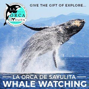 La Orca de Sayulita Banner