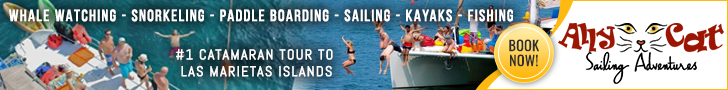 Ally Cat Sailing Tours Banner