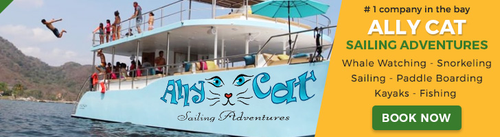 Ally Cat Sailing Tours Banner