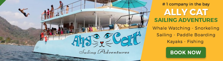 Ally Cat Sayulita banner