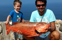 sayulita pargo snapper