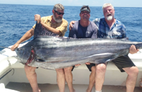 sayulita blue and black marlin