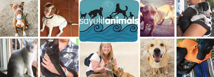 SayulitAnimals - An animal welfare organization in Sayulita, Mexico