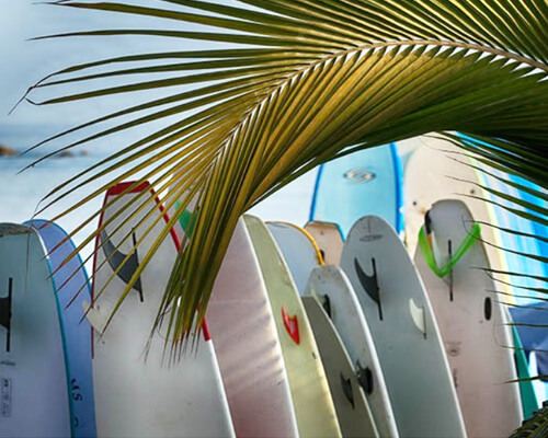 Surf Schools & Rentals