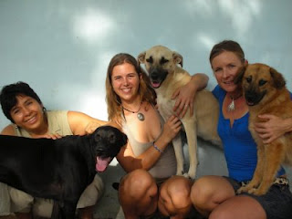 sayulita dog care