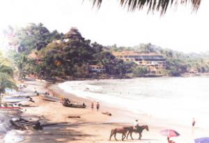 sayulita beach view bay