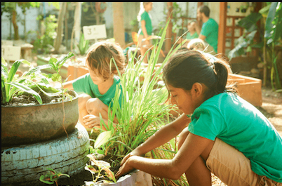 Costa Verde International School in Sayulita