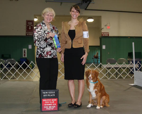 photo of dog show winner