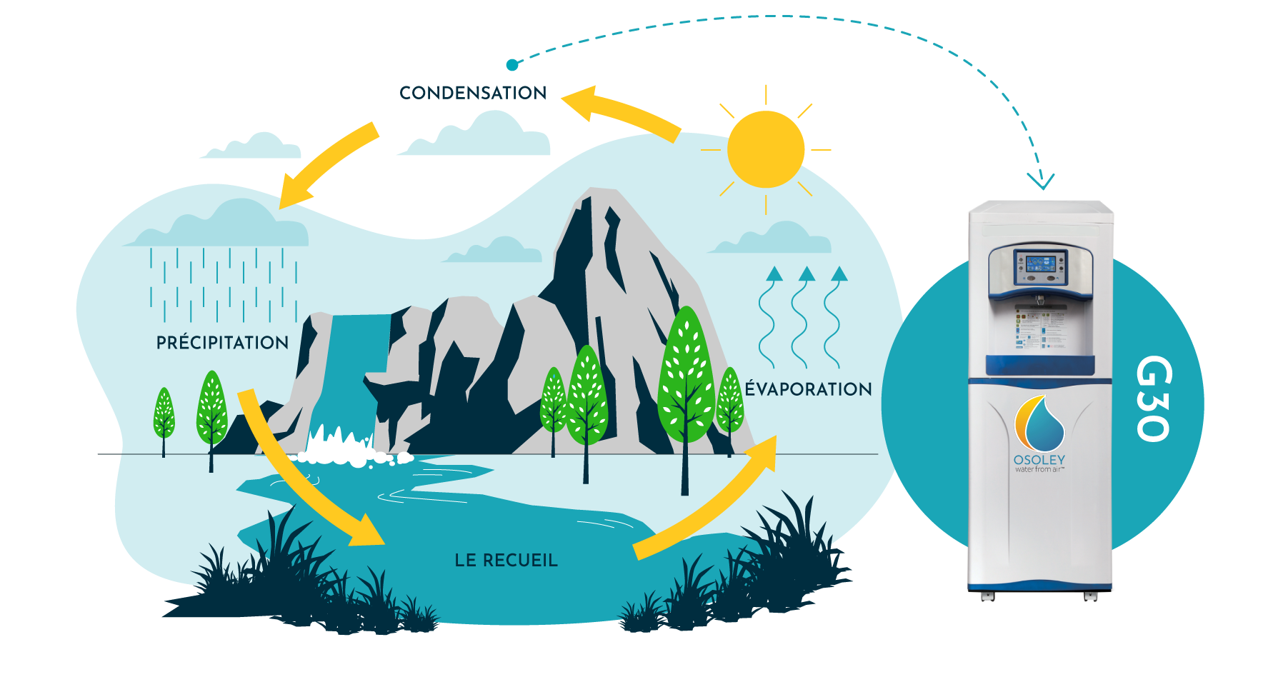Sayulita Life's Featured Business: Osoley; Turning Air into Water