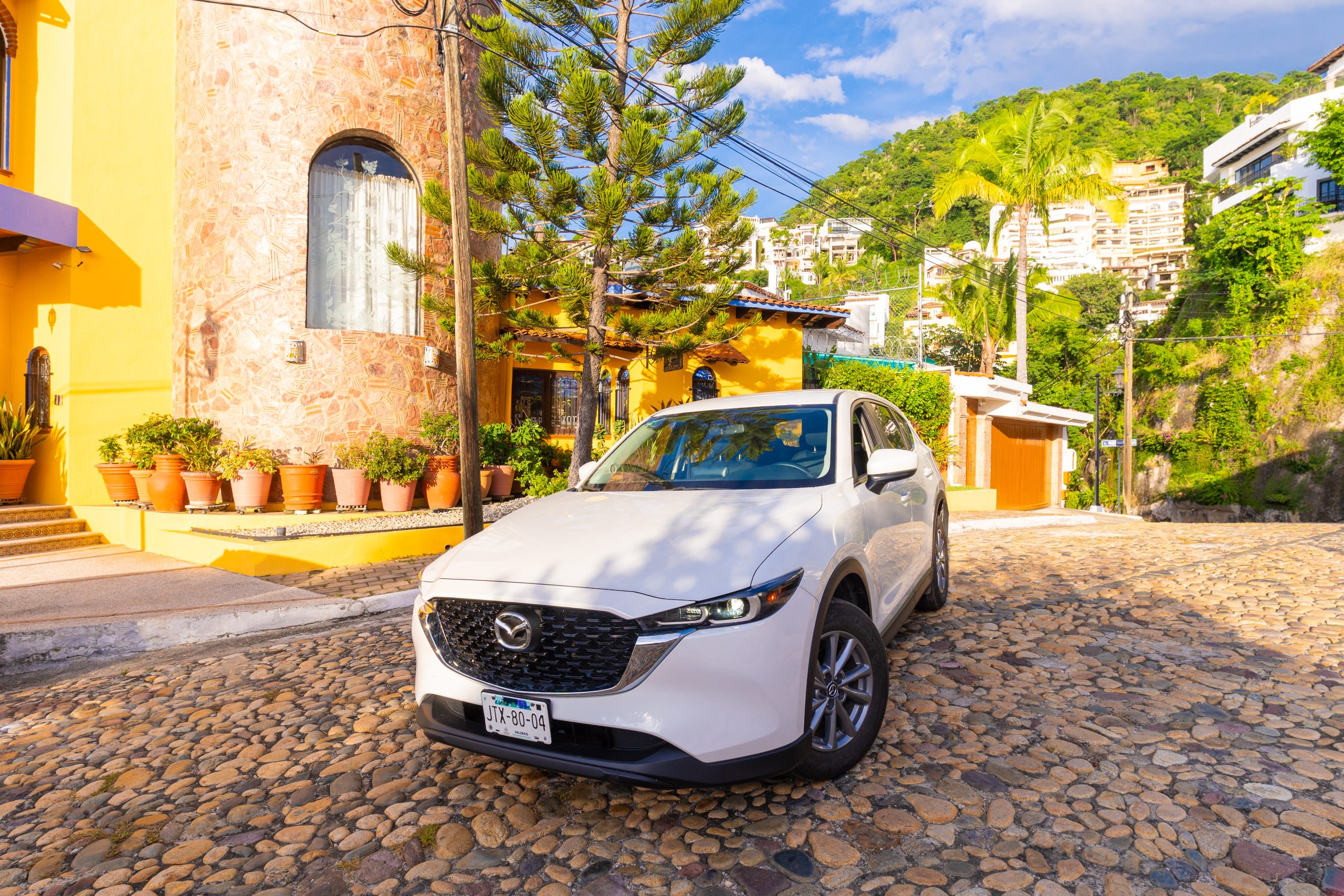 Get to Know Gecko Rent a Car: Your Trusted Wheels for Exploring Sayulita & Beyond